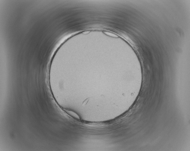 X0000115451392200912161505