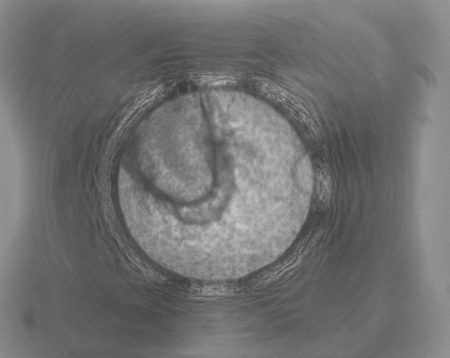 X0000115451393200912161505