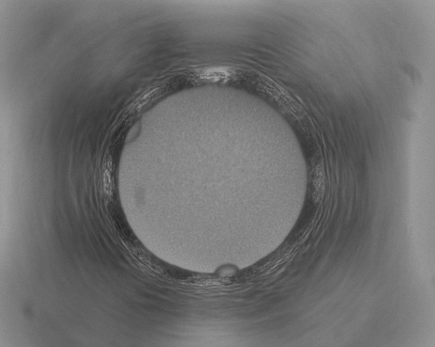 X0000115451394200912161505