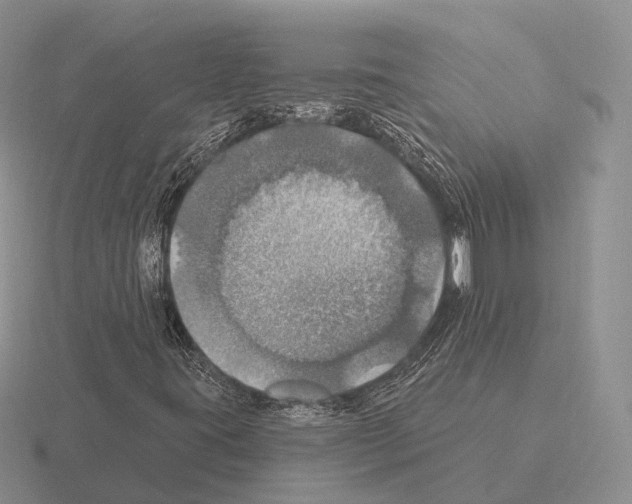 X0000115451395200912161505