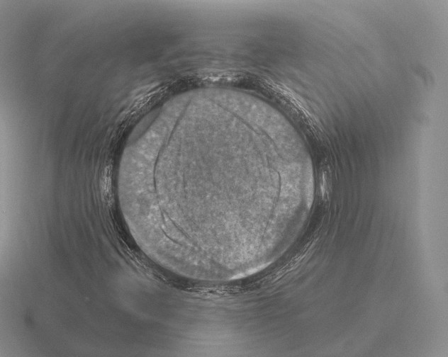 X0000115451396200912161505