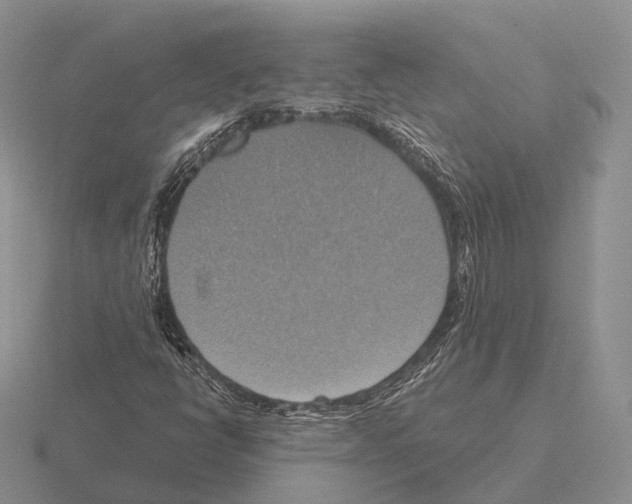 X0000115451398200912161505