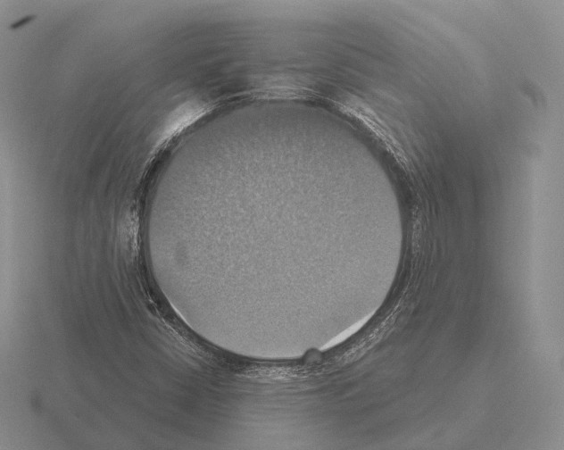 X0000115451402200912161505