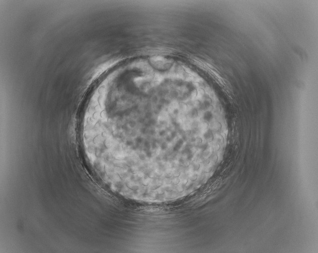 X0000115451404200912161505