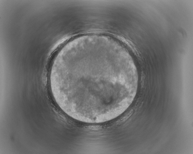 X0000115451406200912161505