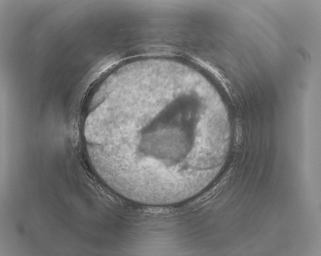 X0000115451407200912161505