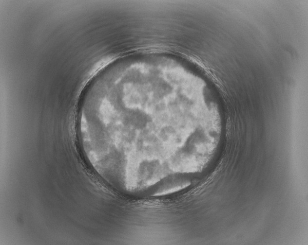 X0000115451410200912161505