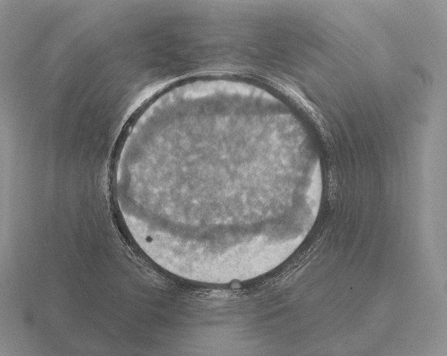 X0000115451412200912161505