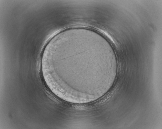 X0000115451413200912161505