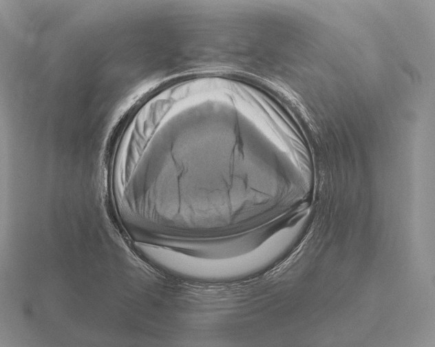 X0000115451414200912161505