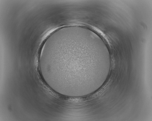 X0000115451415200912161505