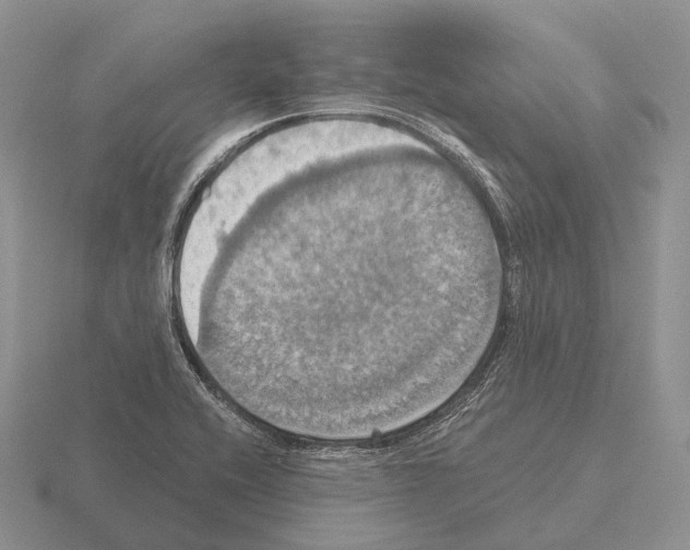 X0000115451416200912161505