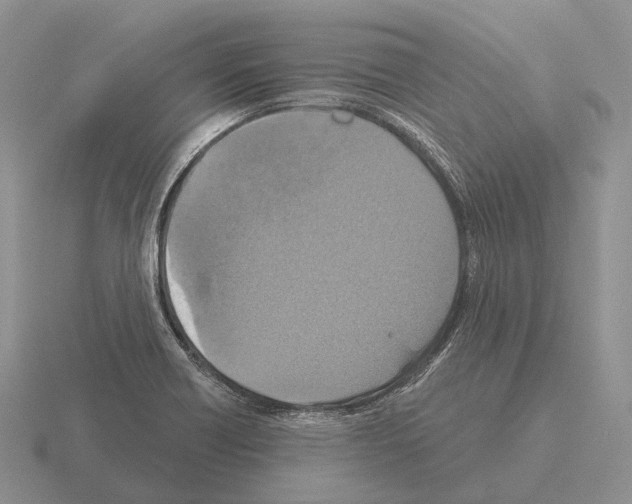 X0000115451418200912161505