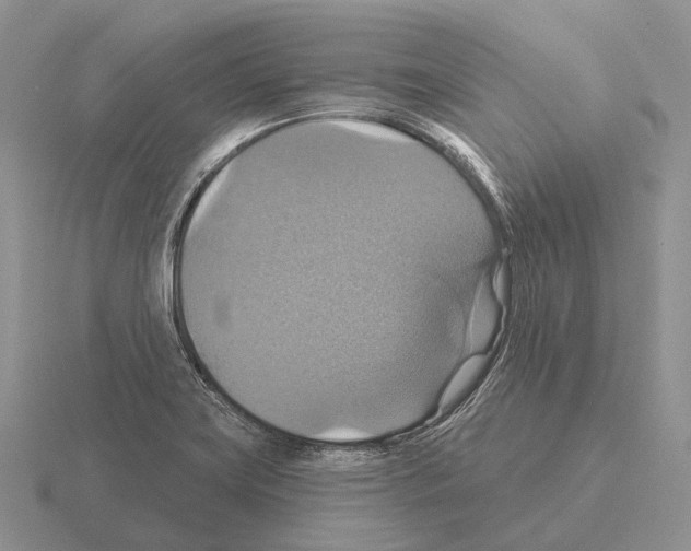 X0000115451419200912161505