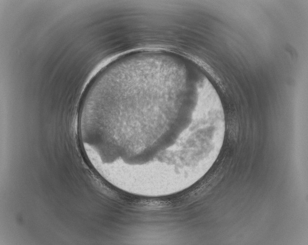 X0000115451420200912161505