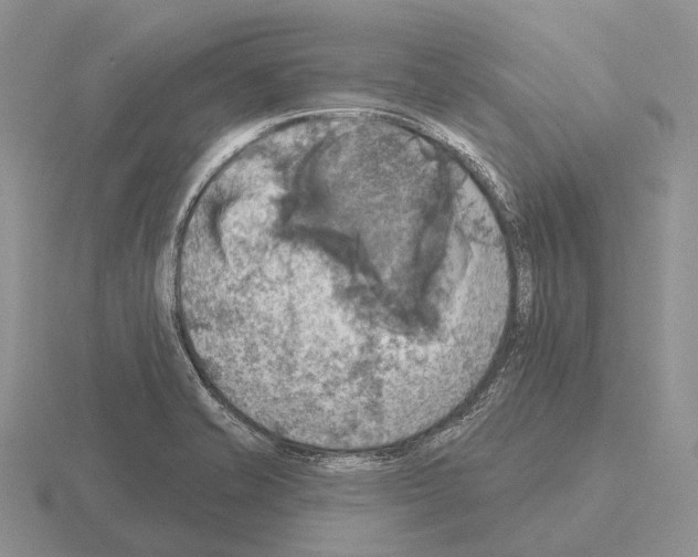 X0000115451421200912161505