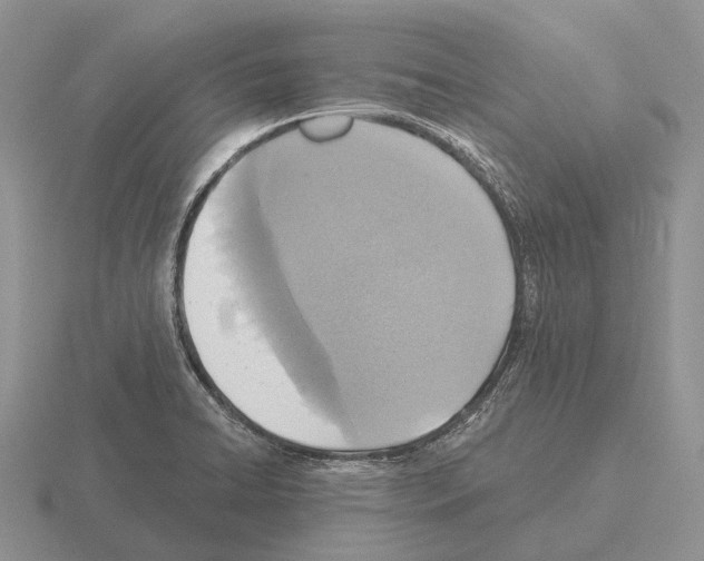 X0000115451422200912161505