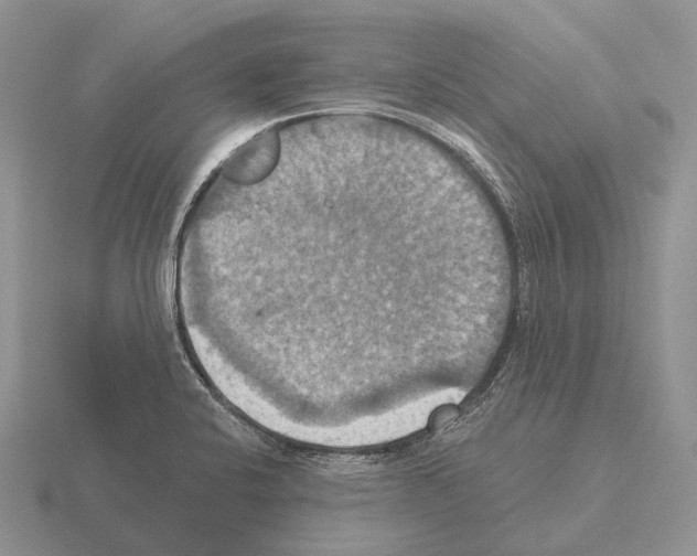 X0000115451424200912161505