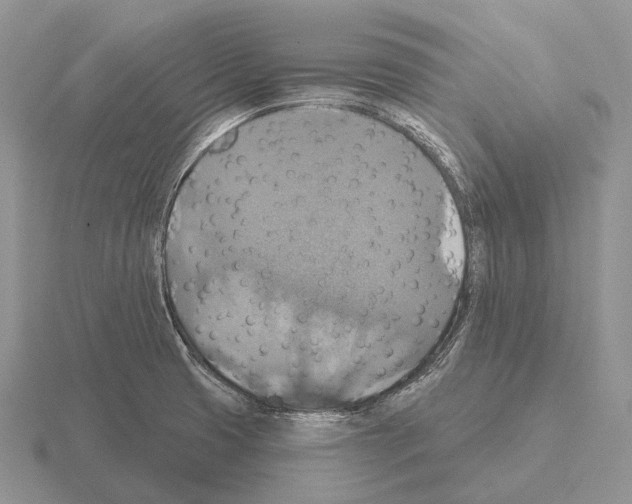 X0000115451425200912161505