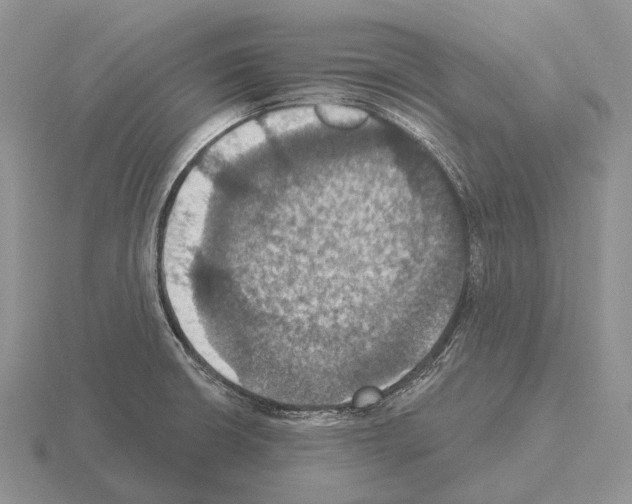 X0000115451426200912161505