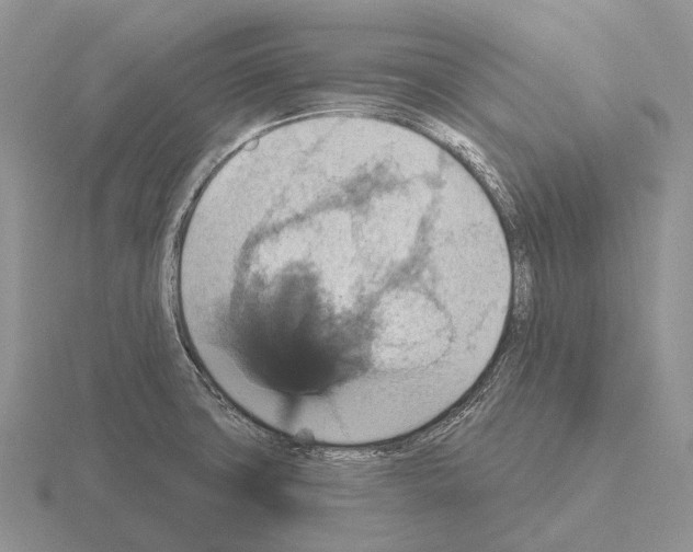 X0000115451427200912161505