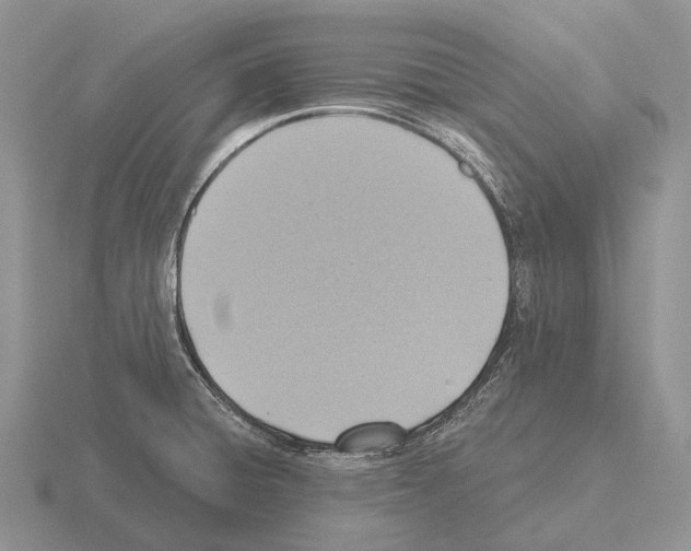 X0000115451428200912161505