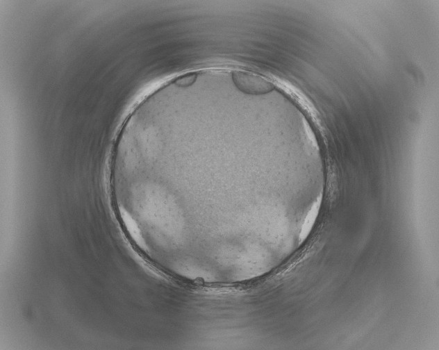 X0000115451429200912161505