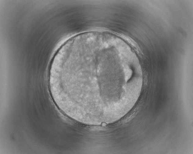 X0000115451430200912161505