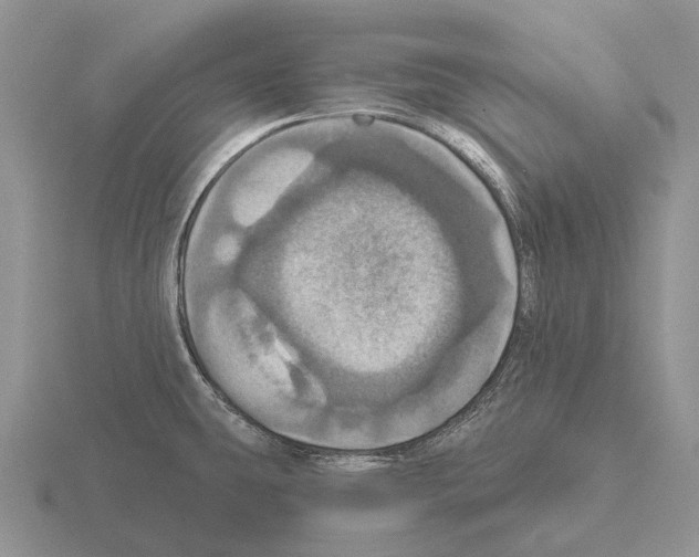 X0000115451431200912161505