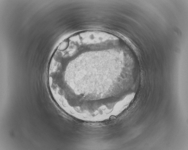 X0000115451432200912161505