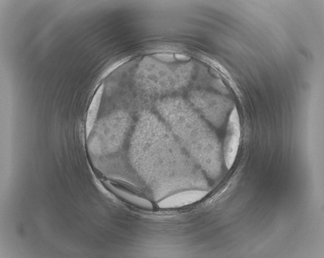 X0000115451433200912161505