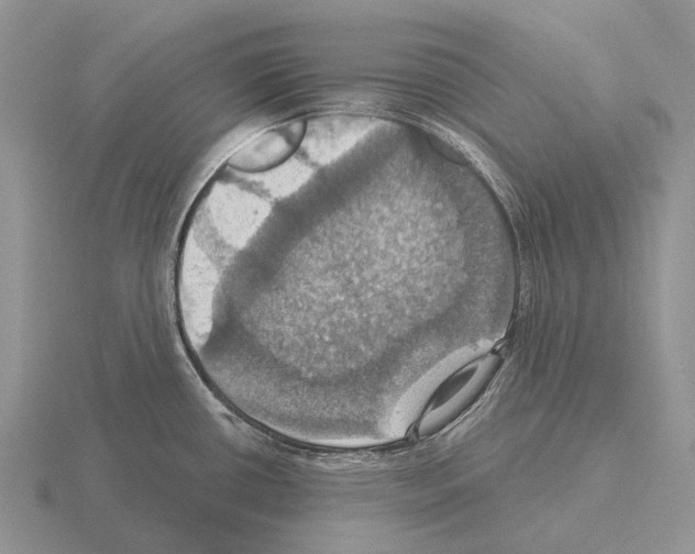 X0000115451434200912161505