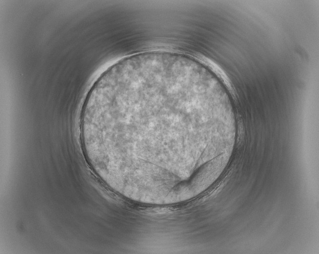 X0000115451435200912161505