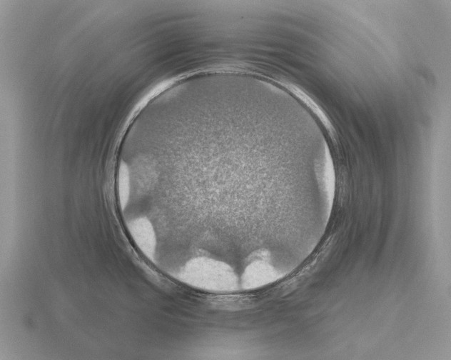 X0000115451437200912161505