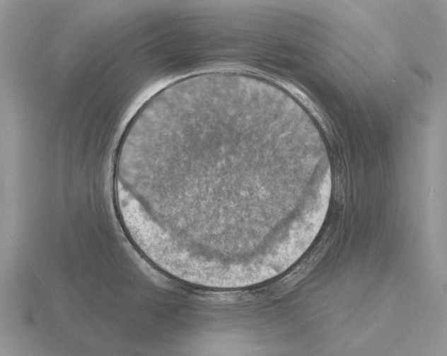 X0000115451438200912161505