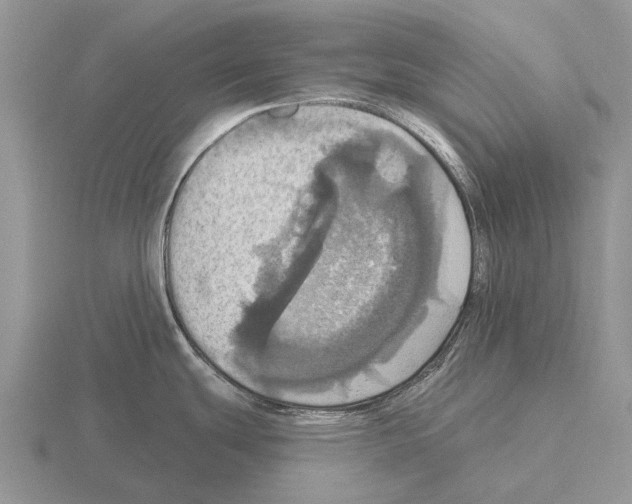 X0000115451439200912161505