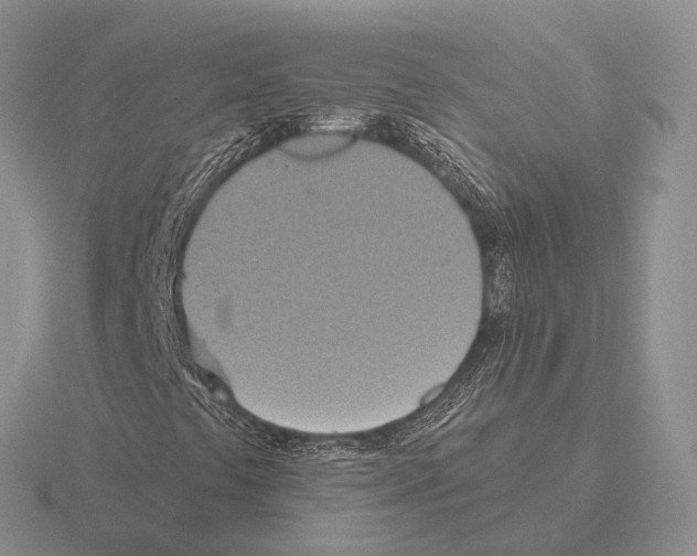 X0000115451441200912161505