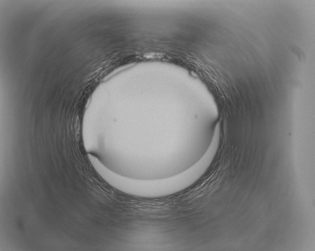 X0000115451443200912161505