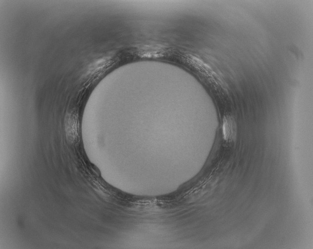 X0000115451444200912161505