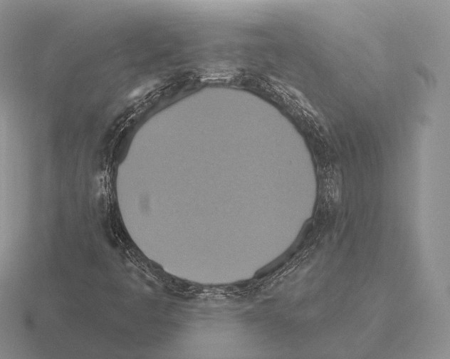 X0000115451445200912161505