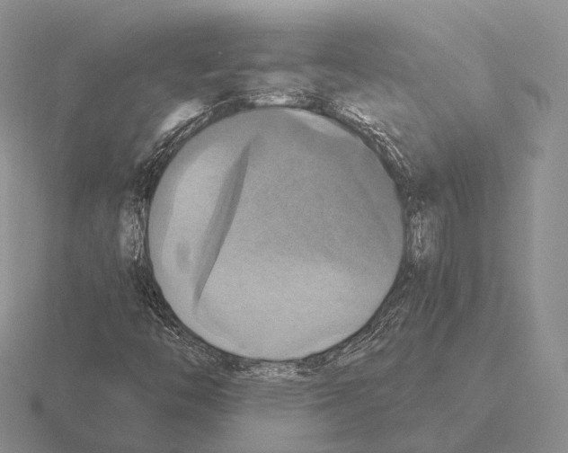 X0000115451446200912161505