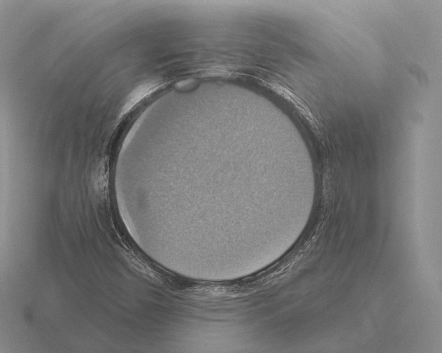 X0000115451450200912161505