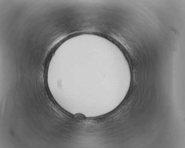 X0000115451452200912161505