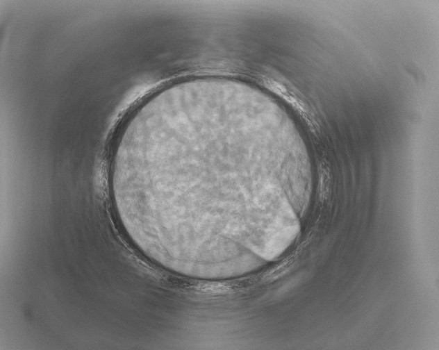 X0000115451454200912161505