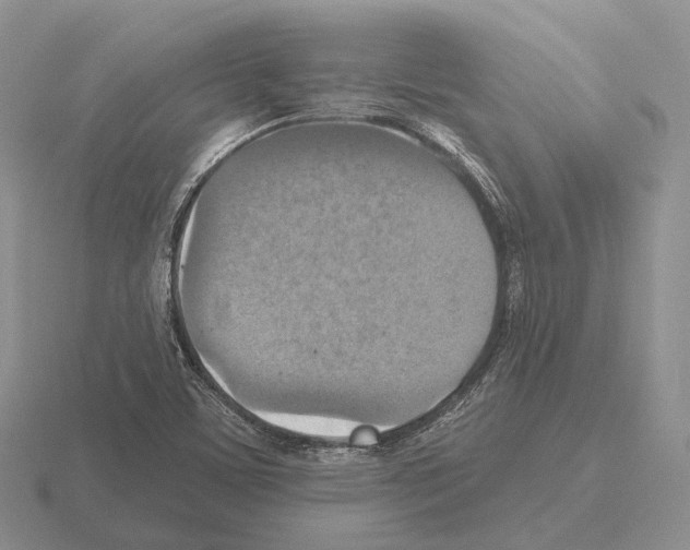 X0000115451459200912161504