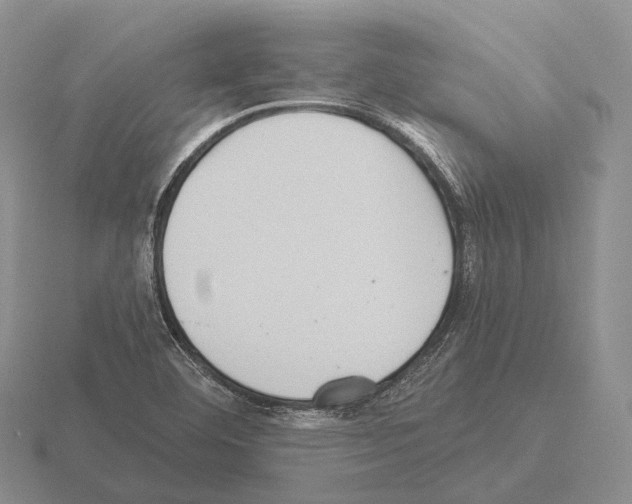 X0000115451460200912161504