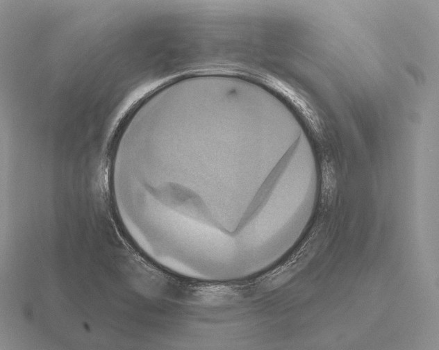 X0000115451462200912161504