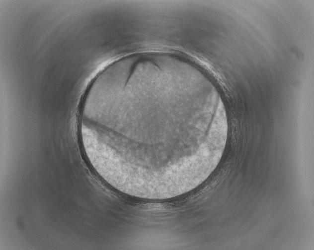 X0000115451463200912161504