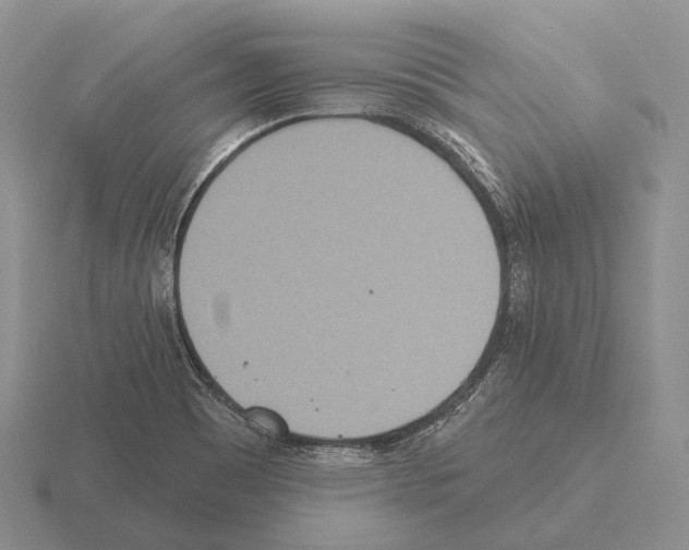 X0000115451465200912161504