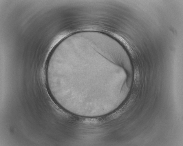 X0000115451466200912161504